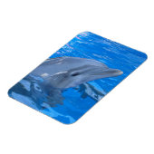 Magnet Flexible Aimant haut de gamme Dolphin (Côté Gauche)