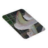 Magnet Flexible Aimant Herons 3"x4" (Côté Droit)