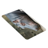 Magnet Flexible Aimant Hippopotame (Côté Droit)