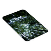 Magnet Flexible Aimant Jungle 3 pouces x 4 pouces (Côté Droit)
