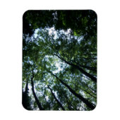 Magnet Flexible Aimant Jungle 3 pouces x 4 pouces (Vertical)