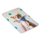 Magnet Flexible aimant karaté corgi (Côté Droit)