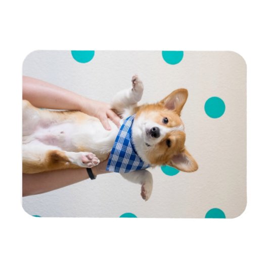 Magnet Flexible aimant karaté corgi (Horizontal)