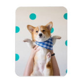 Magnet Flexible aimant karaté corgi (Vertical)