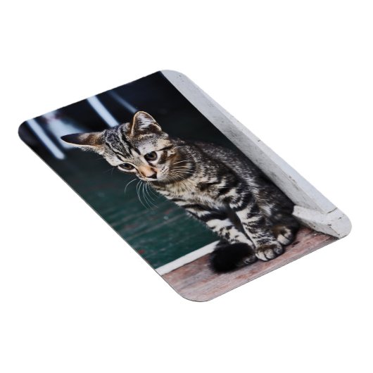 Magnet Flexible Aimant : Kitten (Côté Droit)