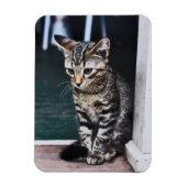 Magnet Flexible Aimant : Kitten (Vertical)