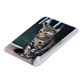 Magnet Flexible Aimant : Kitten (Côté Gauche)