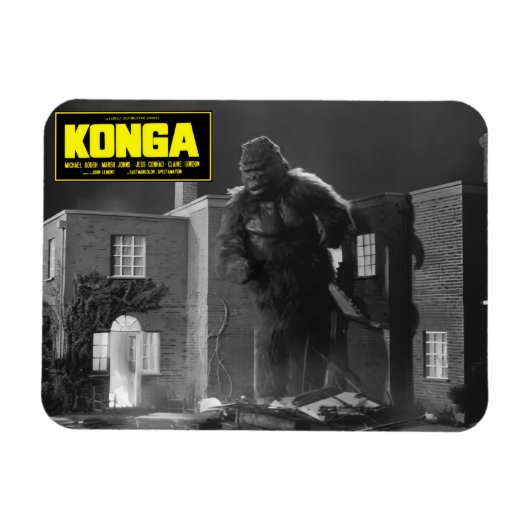 Magnet Flexible Aimant KONGA des années 1960 (Horizontal)