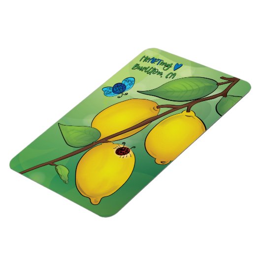 Magnet Flexible Aimant - Lemonade 2 (Côté Gauche)