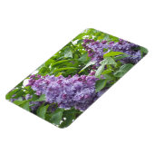 Magnet Flexible Aimant Lilacs (Côté Gauche)