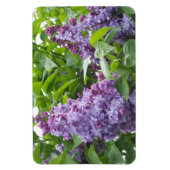 Magnet Flexible Aimant Lilacs (Vertical)