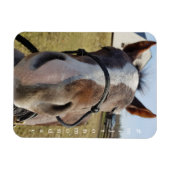 Magnet Flexible Aimant Milton Monday (Horizontal)