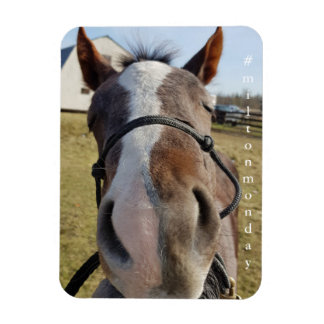 Magnet Flexible Aimant Milton Monday