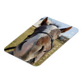 Magnet Flexible Aimant Milton Monday (Côté Gauche)