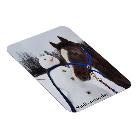 Magnet Flexible Aimant Milton Monday (Côté Droit)