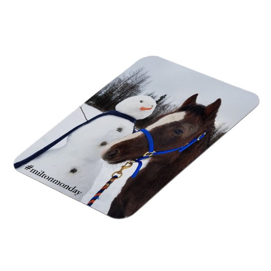 Magnet Flexible Aimant Milton Monday (Côté Gauche)