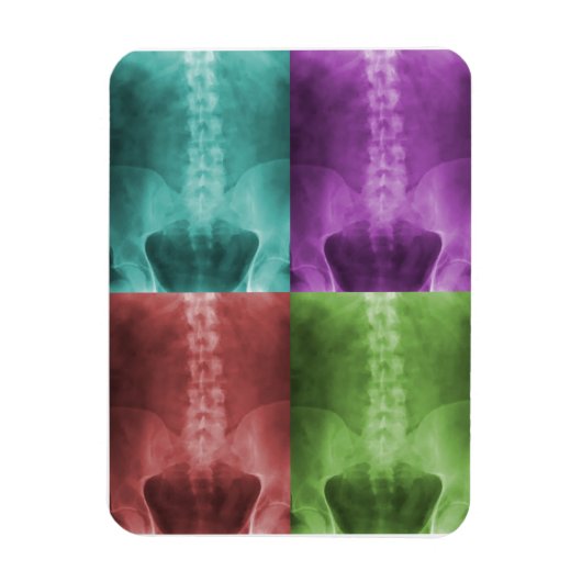 Magnet Flexible Aimant numérique X-Ray Art Premium (Vertical)