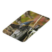Magnet Flexible Aimant Nuthatch (Côté Gauche)
