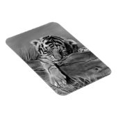 Magnet Flexible Aimant Petit Tigre (Côté Droit)