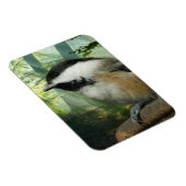 Magnet Flexible aimant photo 3x4 (Côté Droit)