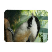 Magnet Flexible aimant photo 3x4 (Horizontal)