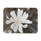 Magnet Flexible Aimant photo à fleurs blanches (Horizontal)