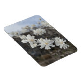Magnet Flexible Aimant photo à fleurs blanches (Côté Droit)