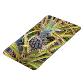 Magnet Flexible Aimant photo ananas (Côté Gauche)