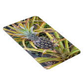 Magnet Flexible Aimant photo ananas (Côté Droit)