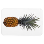 Magnet Flexible Aimant photo ananas (Horizontal)