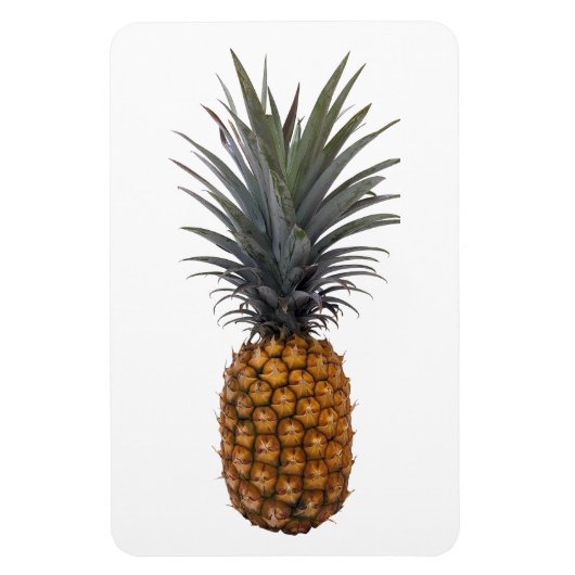 Magnet Flexible Aimant photo ananas (Vertical)