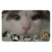 Magnet Flexible Aimant photo Cosmo Collage (Horizontal)