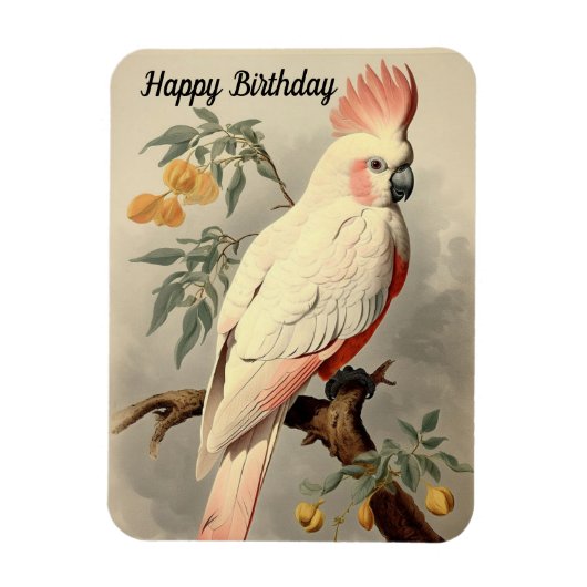 Magnet Flexible Aimant photo d'anniversaire d'oiseaux tropicaux (Vertical)