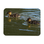 Magnet Flexible Aimant photo de canettes (Horizontal)
