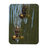 Magnet Flexible Aimant photo de canettes (Vertical)