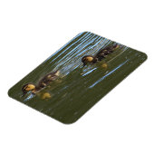 Magnet Flexible Aimant photo de canettes (Côté Gauche)