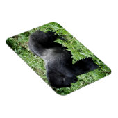 Magnet Flexible Aimant photo de gorille de Silverback (Côté Droit)