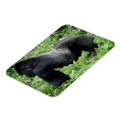 Magnet Flexible Aimant photo de gorille de Silverback (Côté Gauche)