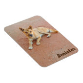 Magnet Flexible Aimant photo Dingo (Côté Droit)
