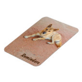 Magnet Flexible Aimant photo Dingo (Côté Gauche)