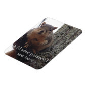 Magnet Flexible Aimant photo écureuil laminé (Côté Gauche)