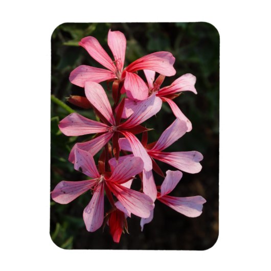 Magnet Flexible Aimant photo en rose (Vertical)