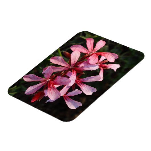 Magnet Flexible Aimant photo en rose (Côté Gauche)