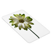 Magnet Flexible Aimant photo Fleur de la marguerite (Côté Droit)