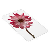 Magnet Flexible Aimant photo Fleur de la marguerite (Côté Droit)