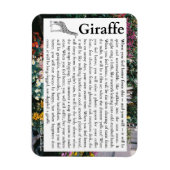 Magnet Flexible Aimant photo flexible (Vertical)