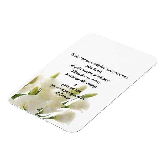 Magnet Flexible Aimant photo flexible (Côté Gauche)