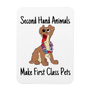 Magnet Flexible Aimant photo flexible