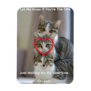 Magnet Flexible Aimant photo flexible avec photo de chats