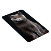 Magnet Flexible Aimant photo flexible de chats (Côté Droit)